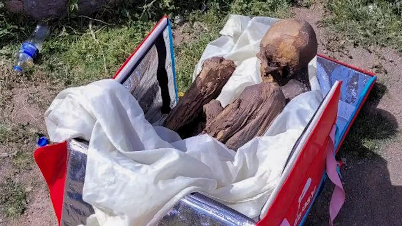 Une momie péruvienne de 800 ans découverte dans le sac d'un livreur à vélo