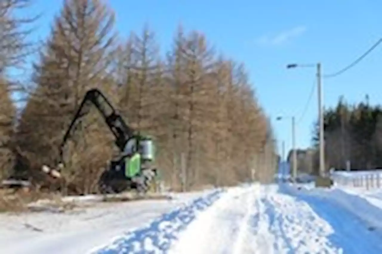 Finland begins building 10-foot-high razor-wire wall along Russian border