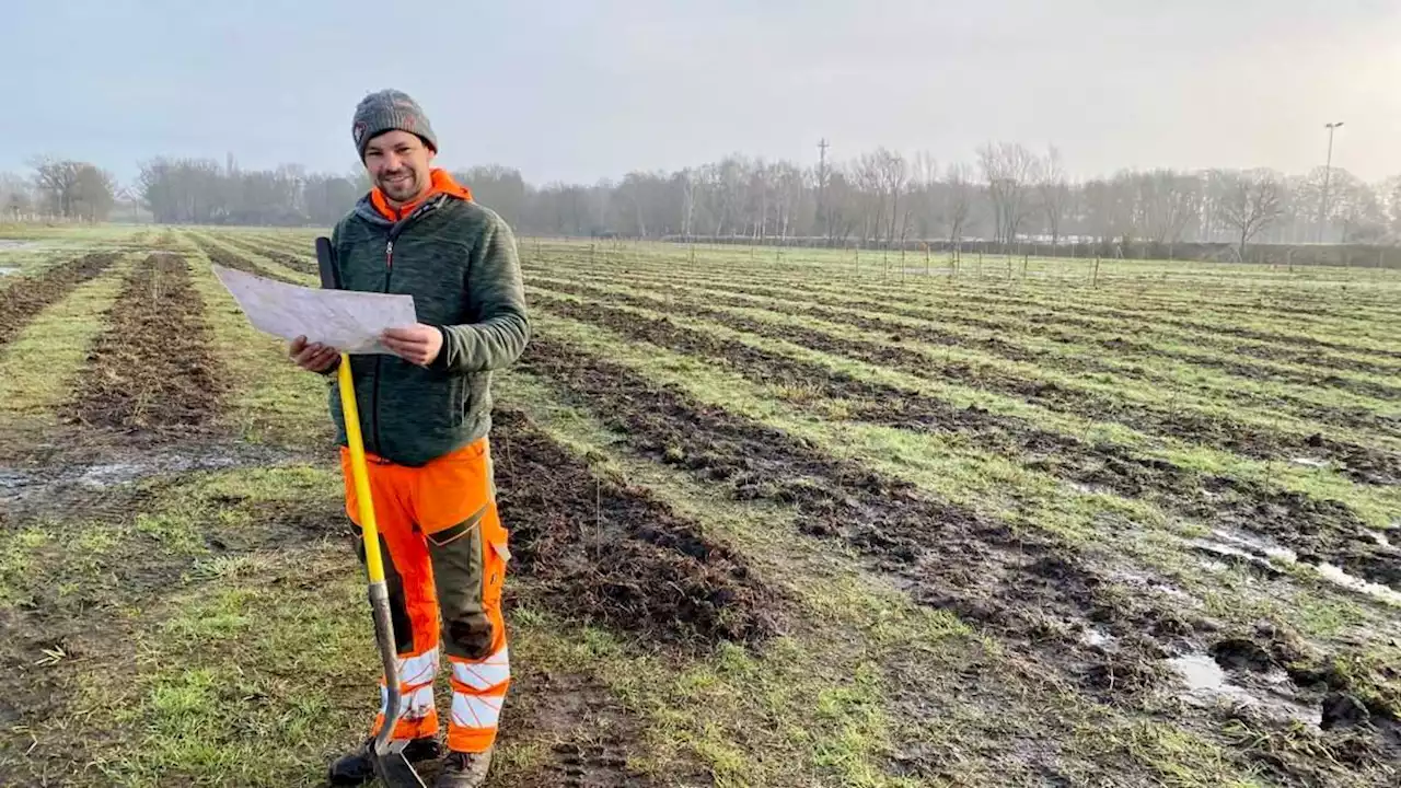 borgfeld bekommt einen neuen wald