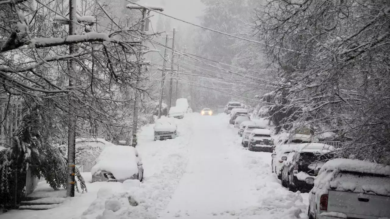 California, beleaguered by earlier storms, gets fresh snow