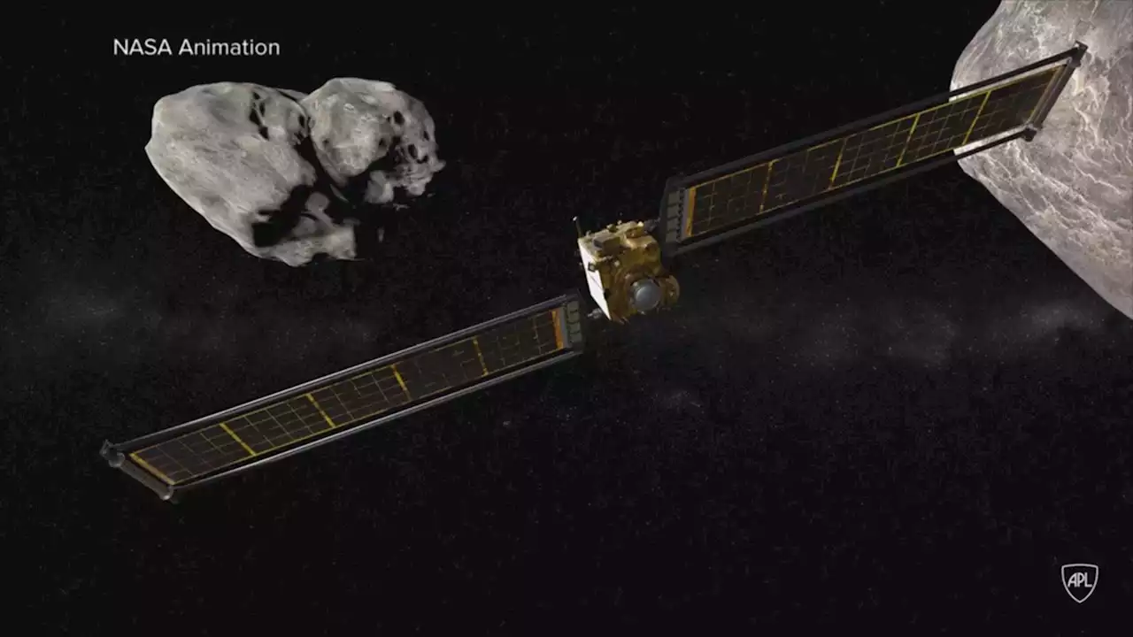 NASA asteroid: Agency tracking newly discovered space rock that has 'small chance' of hitting Earth