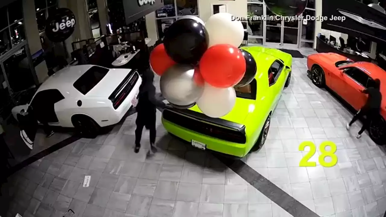 Thieves steal 6 high-performance vehicles from Kentucky car dealership | VIDEO