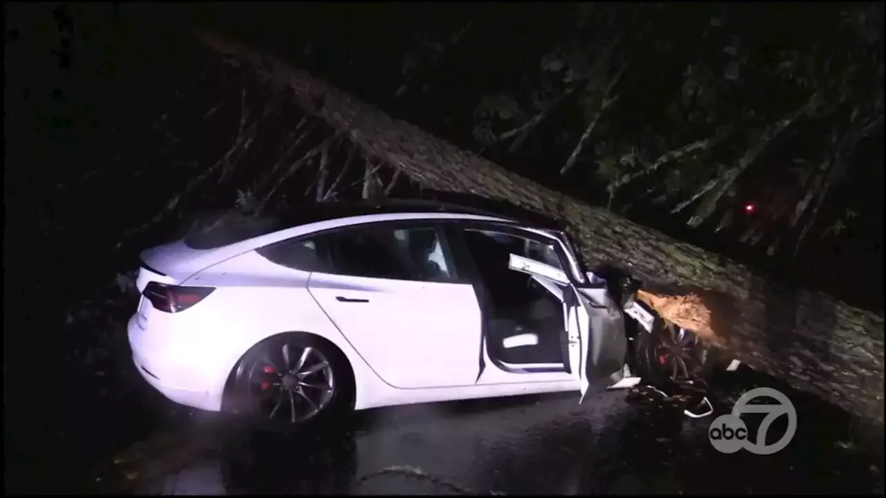 Bay Area storm live updates: 1 injured after tree falls on car in San ...