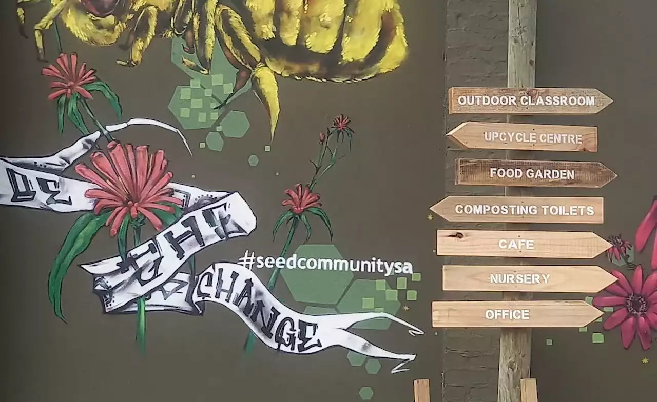 South Africa: Growing Food and Building Resilience in Cape Town's Underserved Communities #AfricaClimateHope