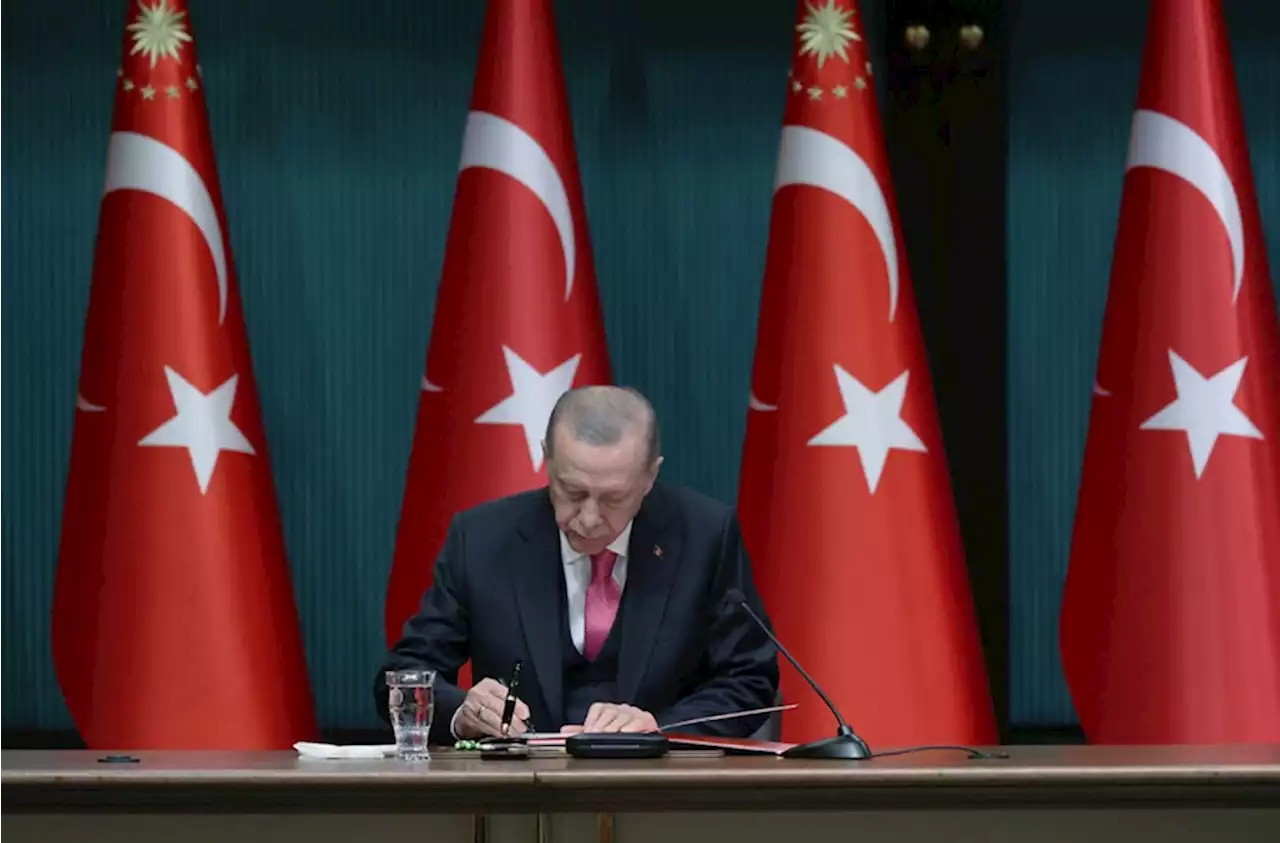 Erdogan-Dekret: Vorgezogene Wahlen in der Türkei am 14. Mai