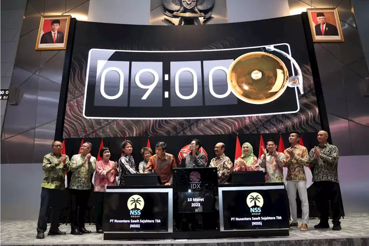 Resmi Masuk Bursa, Saham Nusantara Sawit (NSSS) Naik 2,36 Persen saat Debut