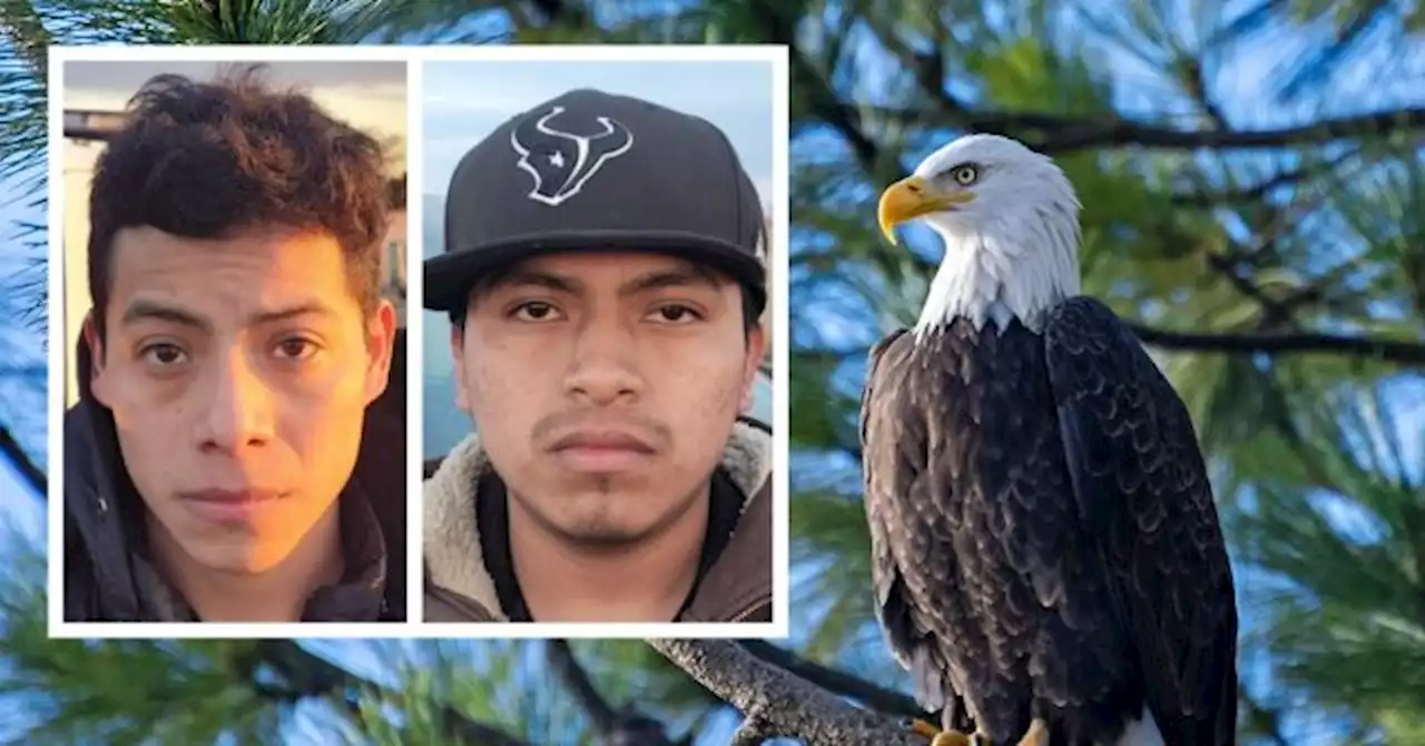 Kat Cammack: Men Who Killed Bald Eagle Allegedly Entered U.S. Illegally