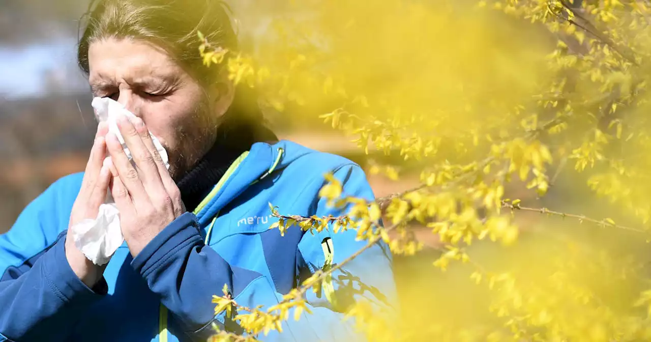 Allergy season is starting earlier. Here are tips for dealing with spring pollen and allergy symptoms.