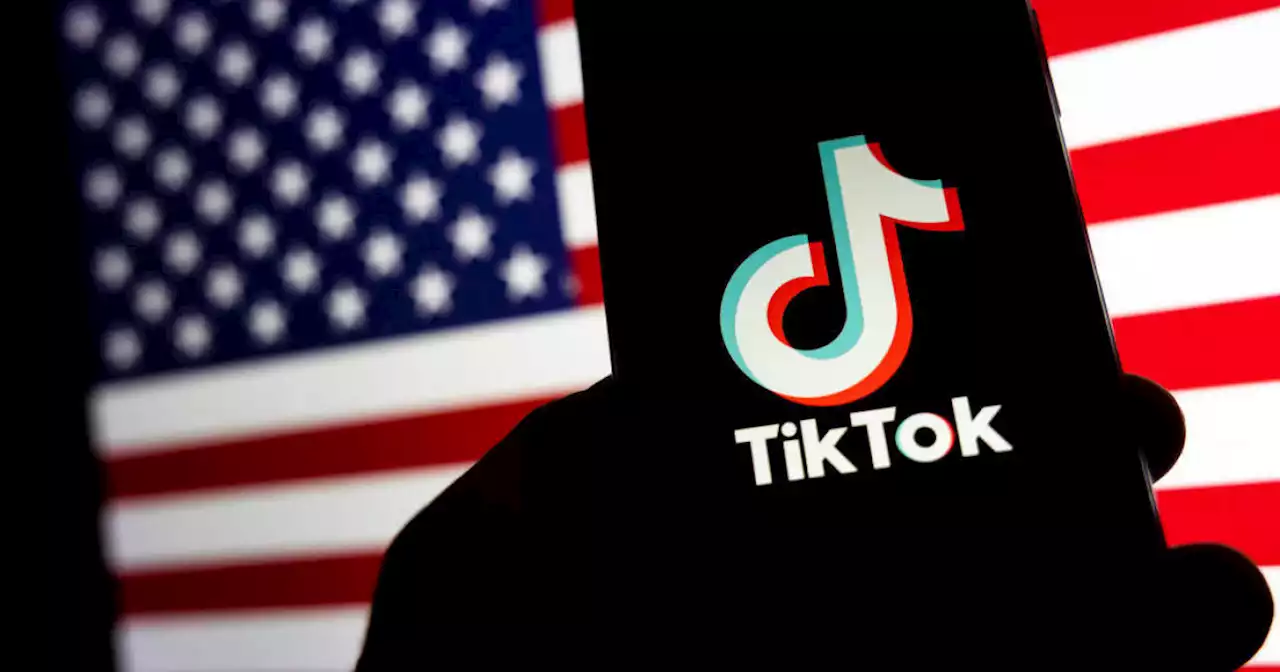 Democrats come around on TikTok ban, reflecting willingness to challenge China