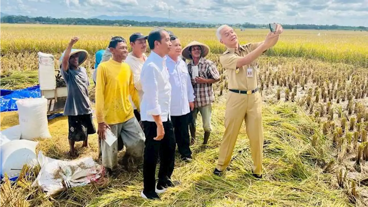 Ganjar Berkicau RI Lumbung Pangan Dunia, Begini Faktanya