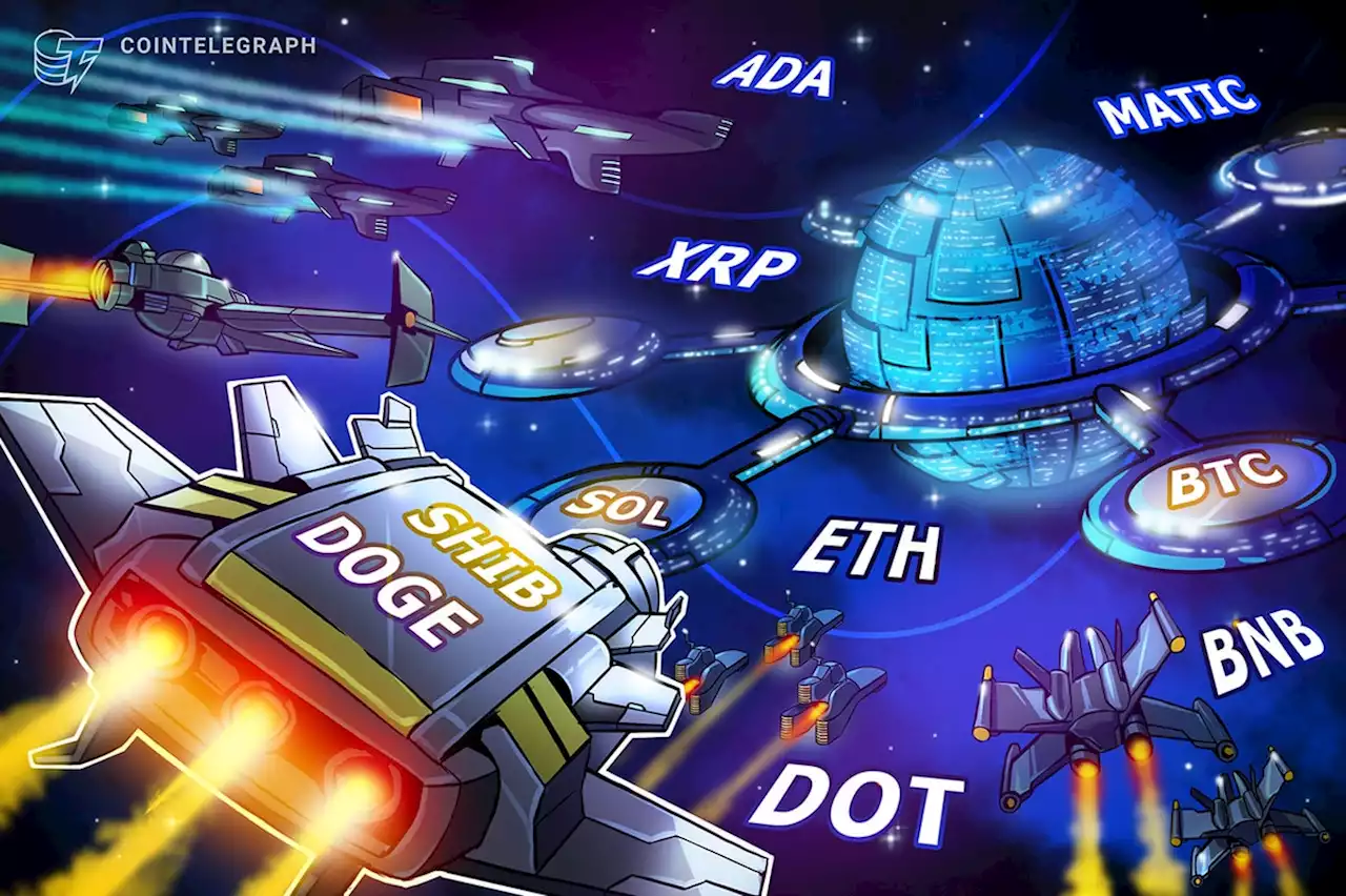 Price analysis 3/10: BTC, ETH, BNB, XRP, ADA, DOGE, MATIC, SOL, DOT, SHIB