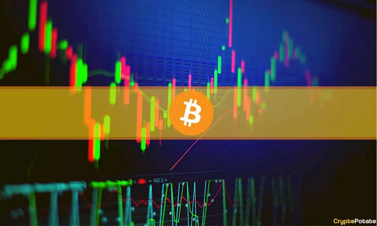 Bitcoin Hits 2-Month Low as Crypto Markets Shed $70B in a Day: Market Watch