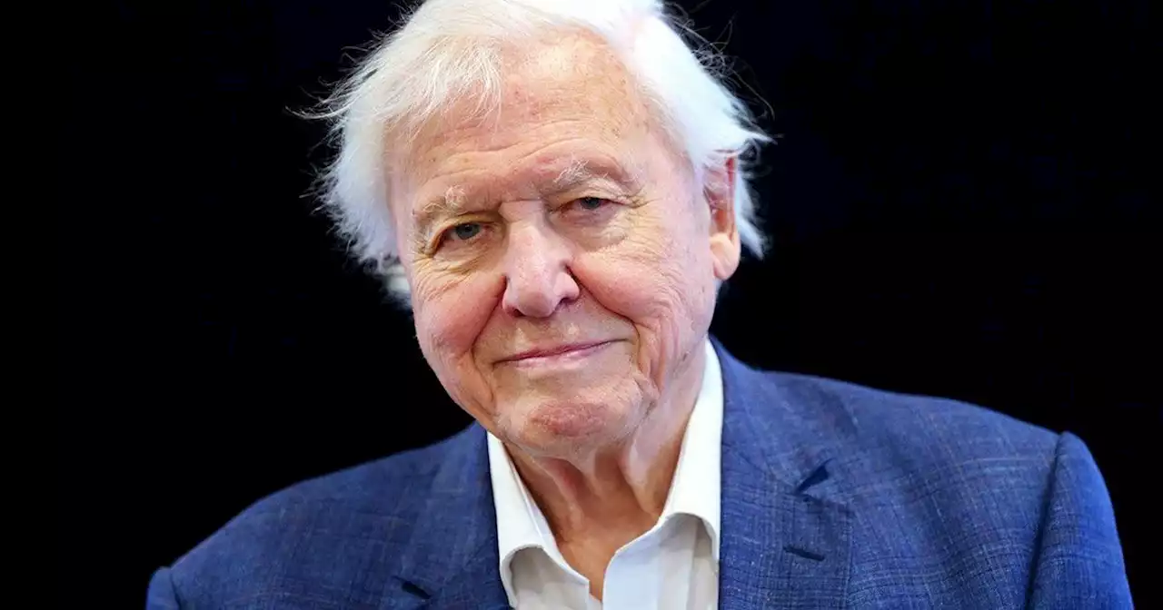 BBC 'decide not to broadcast Attenborough episode amid Tory backlash fears'