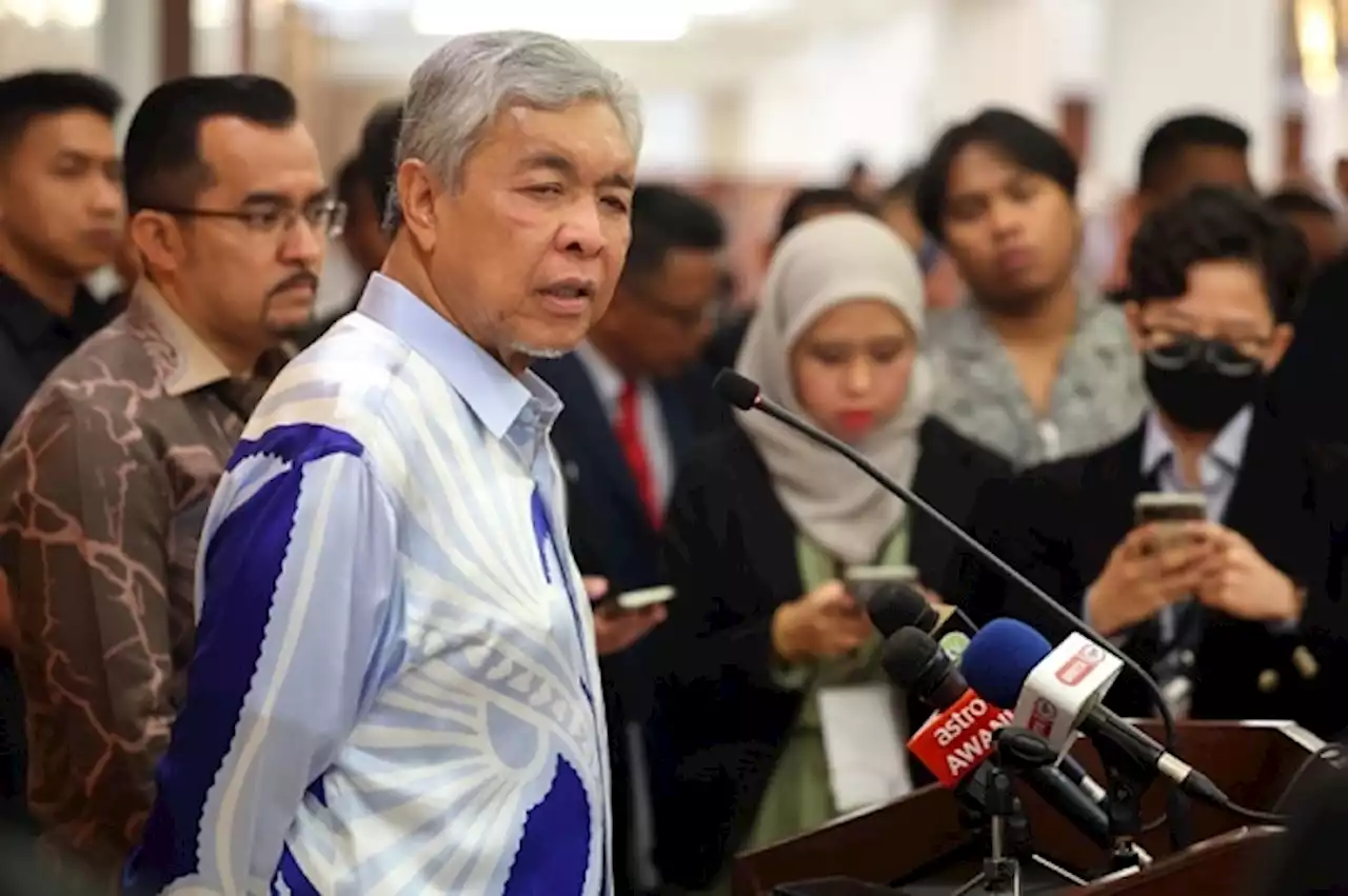 Zahid says large-scale paddy estates to be developed in Kota Belud, Marudu