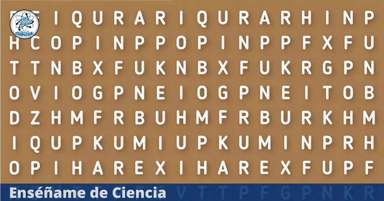 Acertijo visual en tendencia: Encuentra la palabra “GAITA” oculta en esta increíble sopa de letras