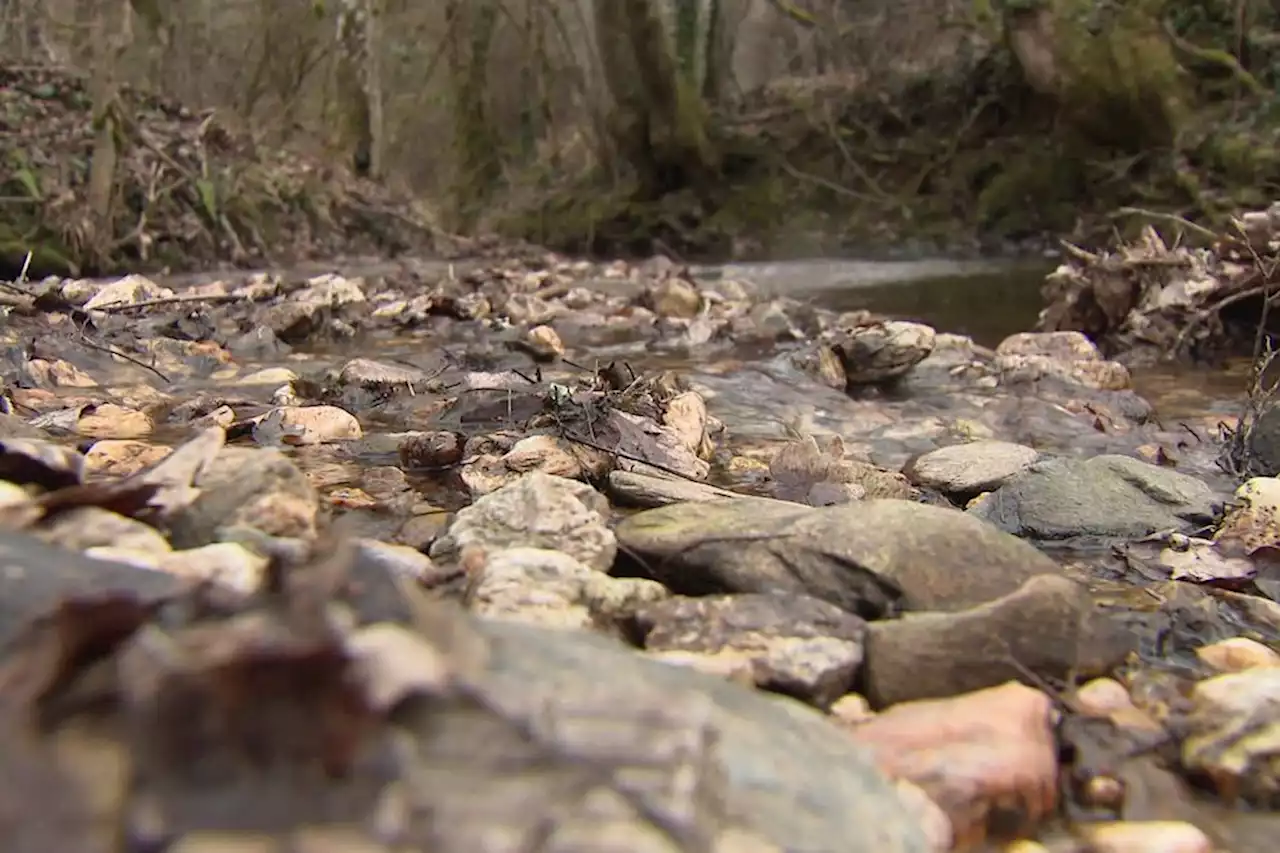 Sécheresse : la saison de pêche en Occitanie menacée par les bas niveaux des rivières