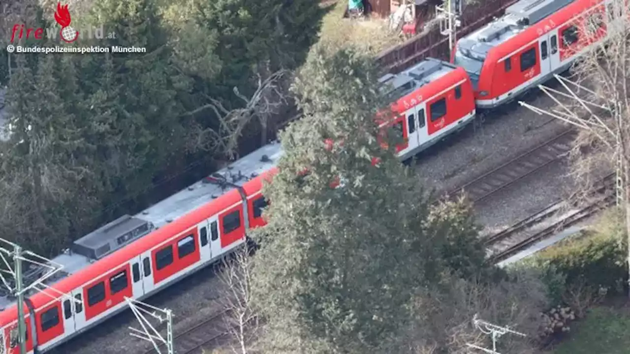 Bayern: Baum stürzt in München auf S-Bahn → Zug evakuiert