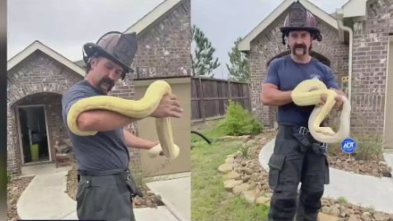 Serpents, Lizards & Tarantulas: East Montgomery County firefighters get a slithery surprise during house fire