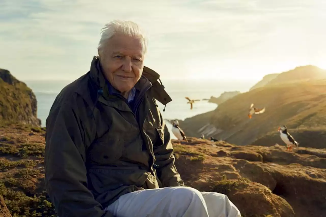 Sir David Attenborough show cancelled over Tory backlash fear