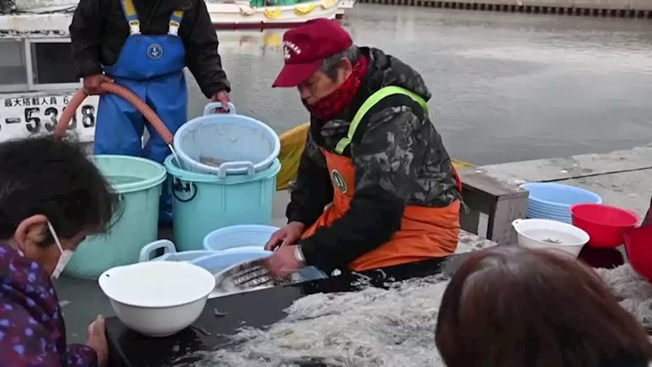 Video: Fukushima water storage tanks concern fisherman