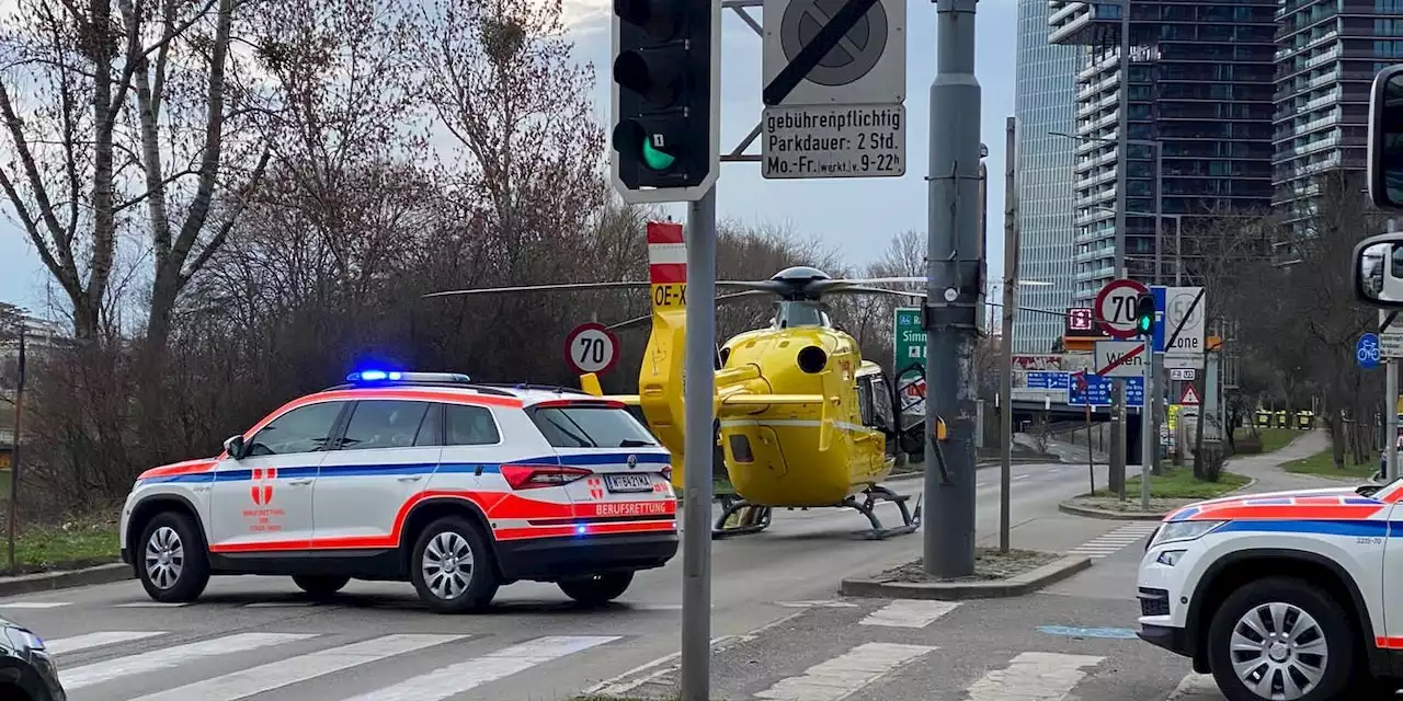 WEGA-Großeinsatz – Bluttat in Wien, Täter flüchtig