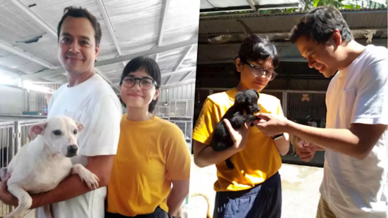 LOOK: John Lloyd Cruz and rumored GF visit animal shelter to adopt a dog