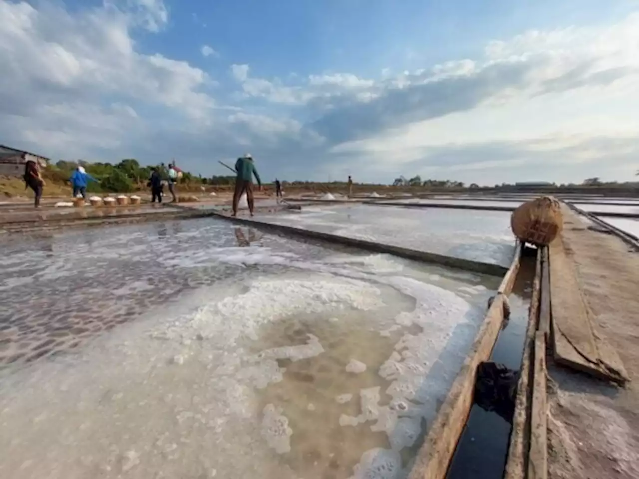 Pangasinan salt farmers persevere amid unstable incomes, importation