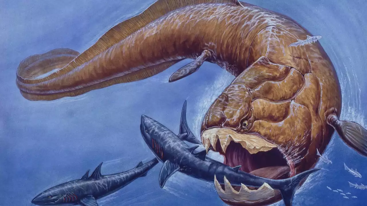 New study reveals terrifying details about deadly ancient fish 'Dunk'