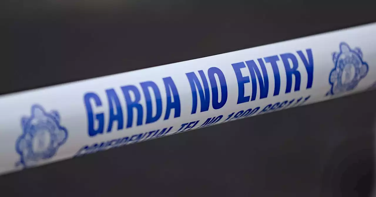 Man 'beaten to death' in row in house in Cavan named as gardaí question suspect