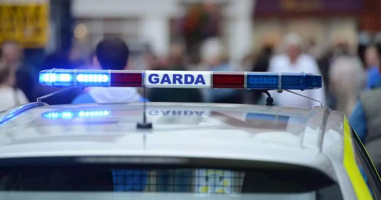 Garda launch murder investigation following fatal Newbridge assault