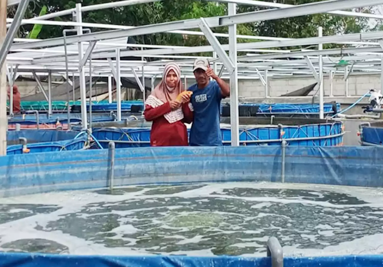 Genjot Angka Konsumsi, Pembudidaya Ikan di Bojonegoro Terus Bertumbuh