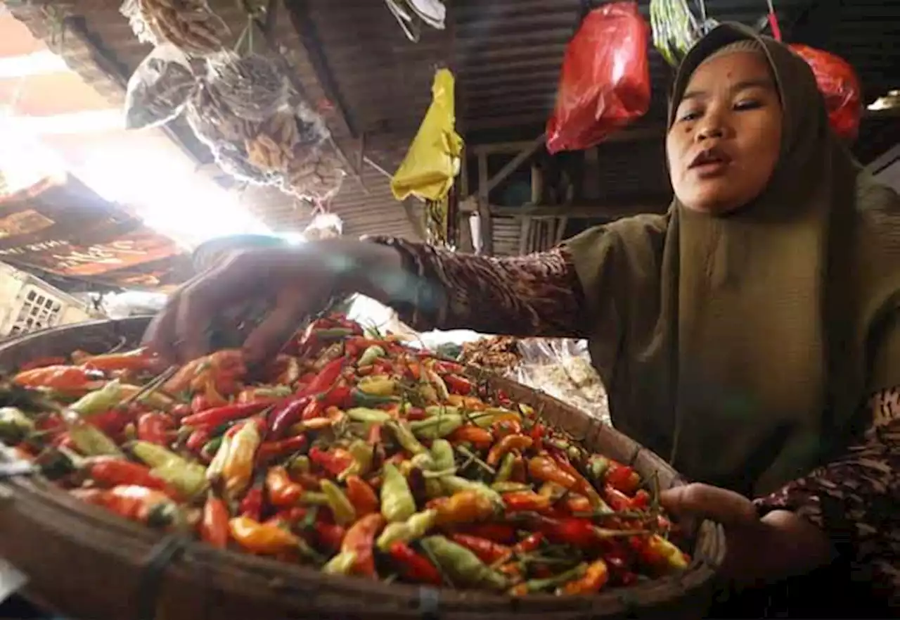 Harga Cabai Rawit di Pasuruan Mulai Melonjak Tajam