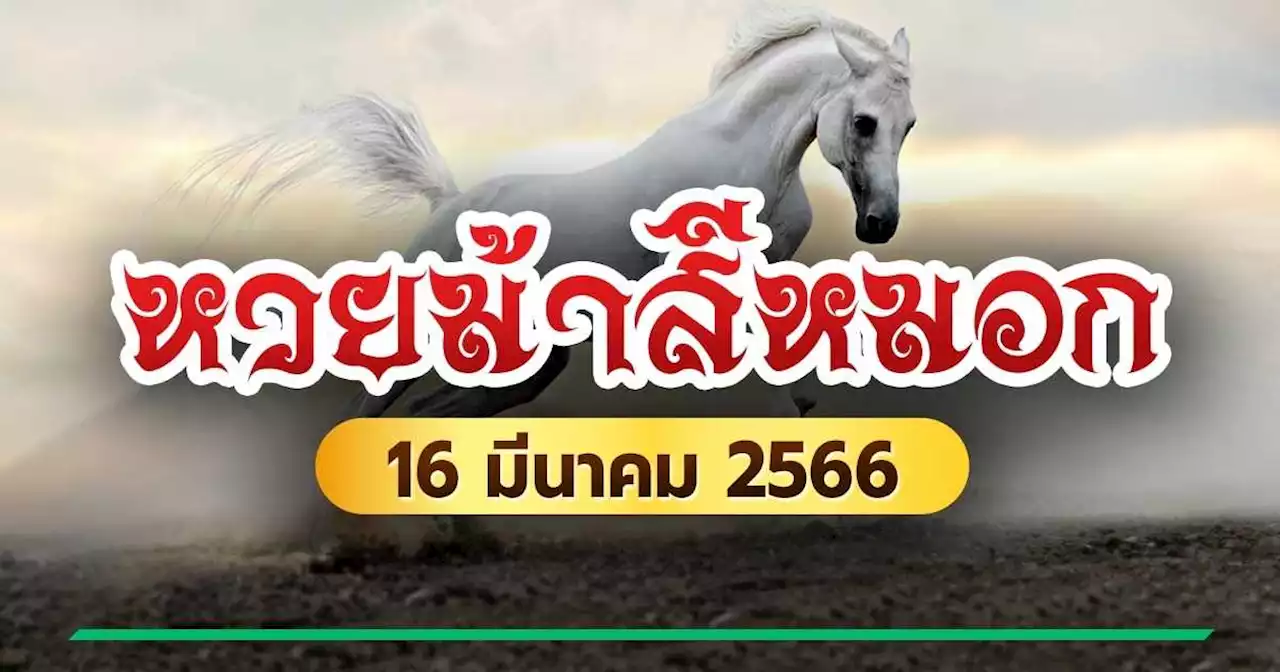 หวยม้าสีหมอก งวดนี้ 16 มี.ค.66 จัดเต็มเลขเด็ด วิ่งบน-ล่าง