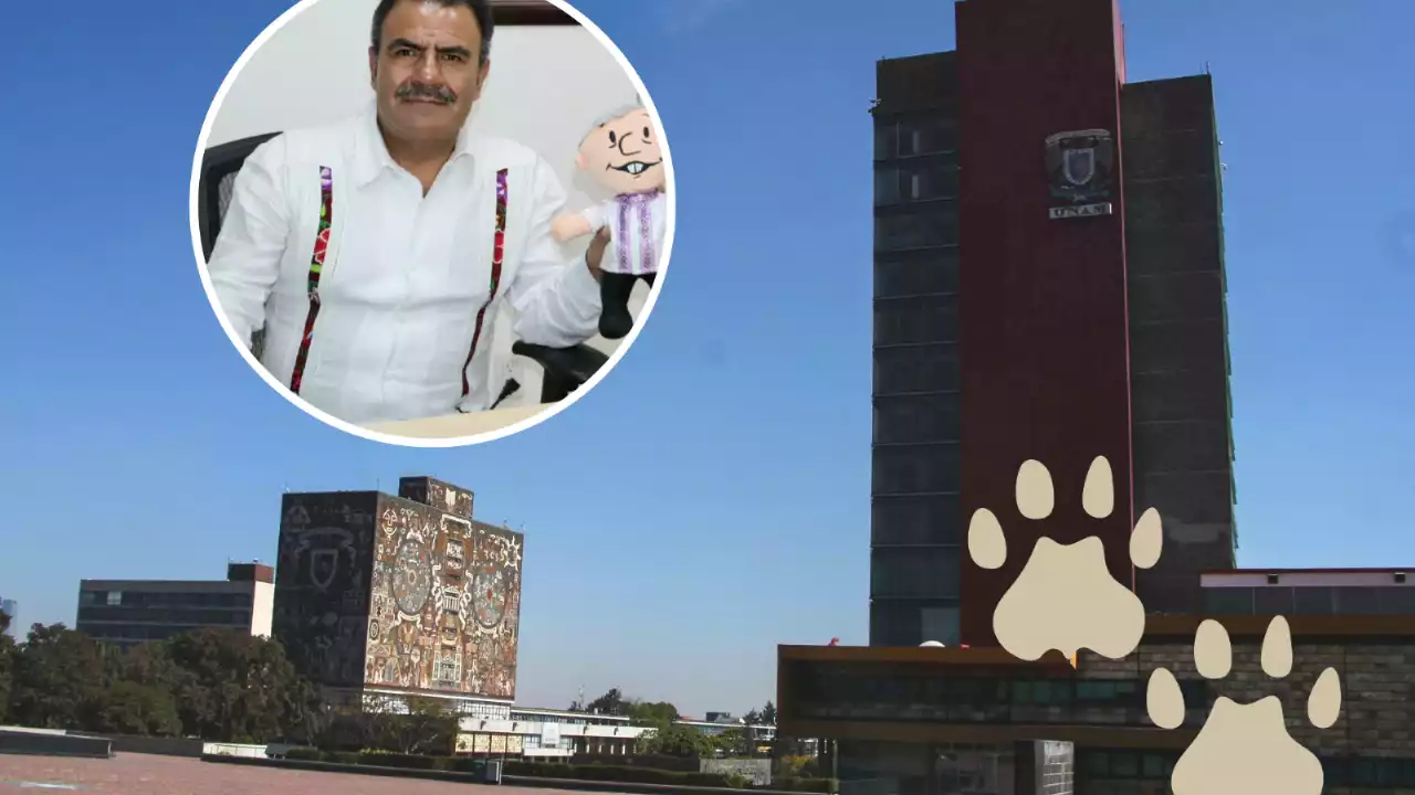 ¿Voto por voto de comunidad de la UNAM para elegir rector?