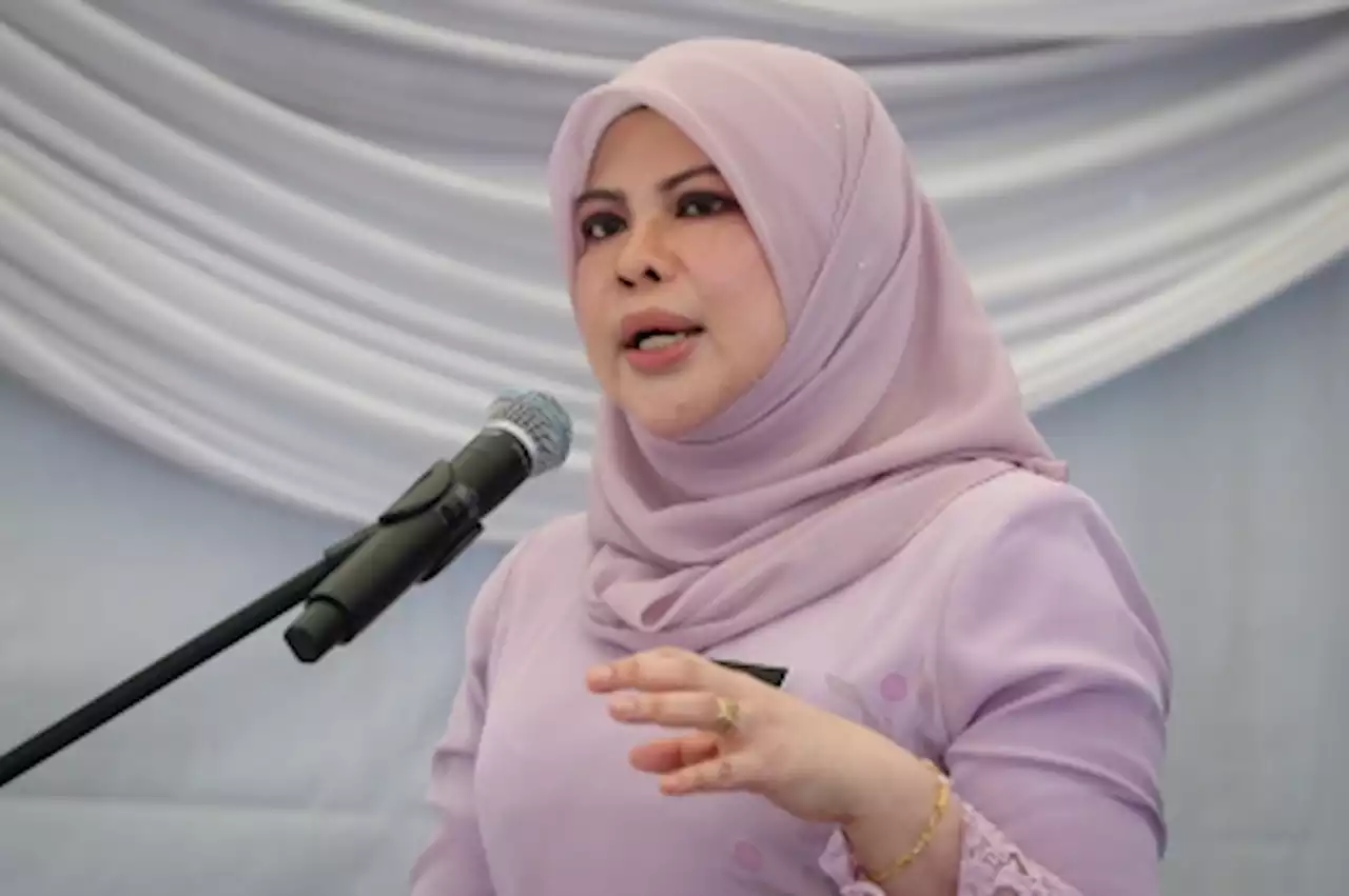 Work harder to secure win for Perikatan in state elections, Rina Harun tells Bersatu Srikandi