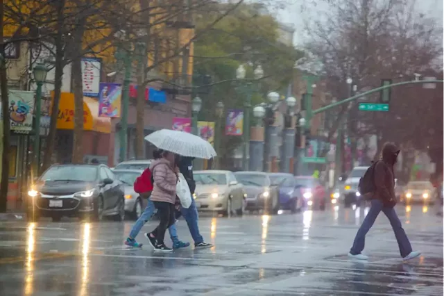 Bay Area Storm Live Updates: I-580 In Oakland Closed Due To Flooding 