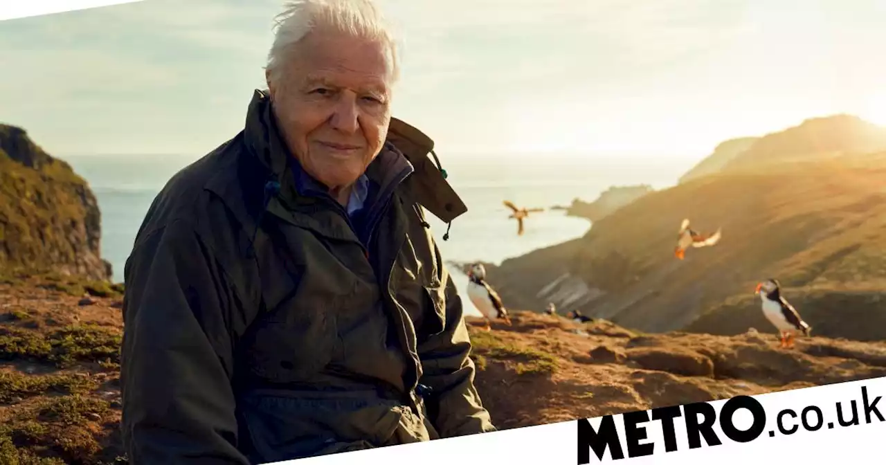 Sir David Attenborough episode 'pulled from BBC over rightwing row fears'