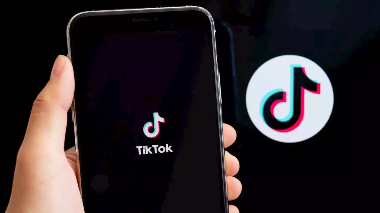 Bélgica prohibe TikTok en los teléfonos oficiales de los ministros | Minuto30