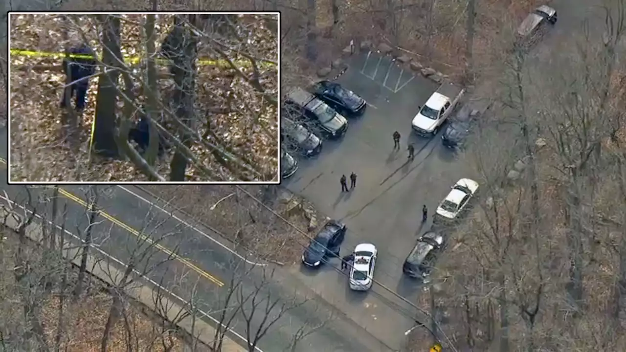 NYPD Floods State Forest on Staten Island After Dog Walker Finds Apparent Human Hand