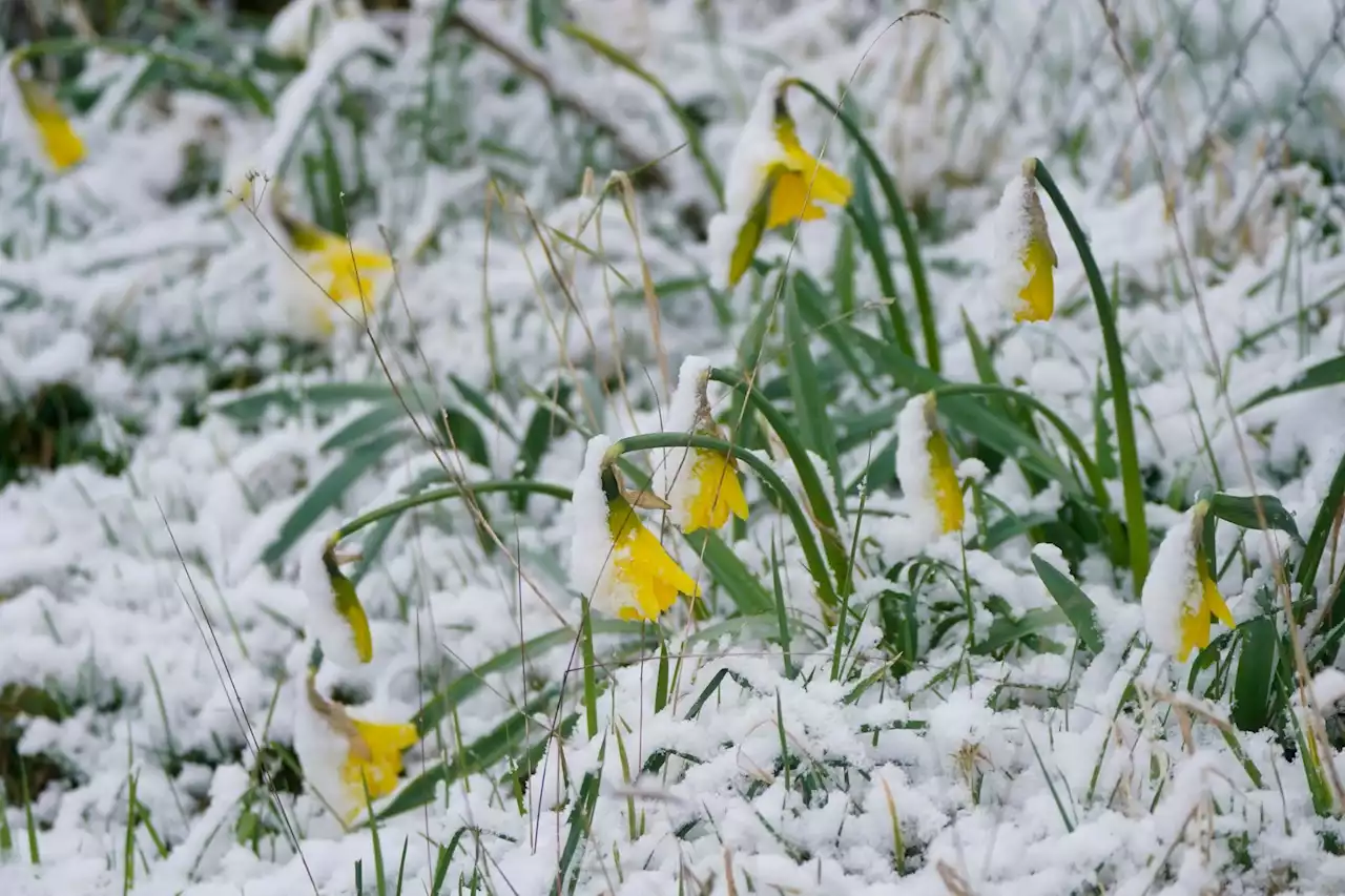 Met Éireann Orange snow warning remains in place in Dublin and Wicklow