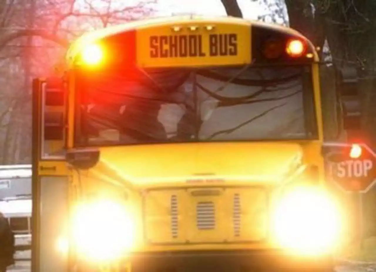 Child, 9, struck by school bus after getting off at bus stop, Lakewood police say