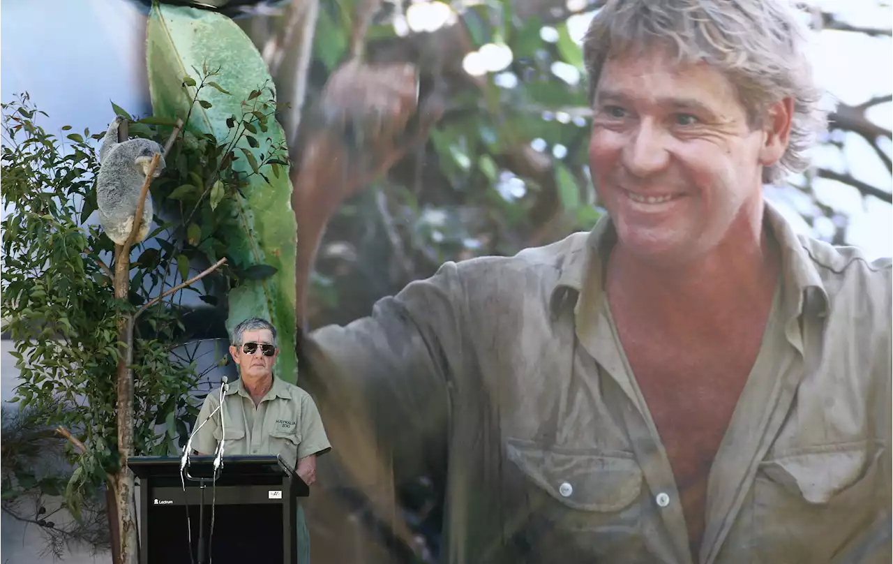 Steve Irwin’s dad blasts social media trend of filming crocodile encounters: ‘blatant stupidity’