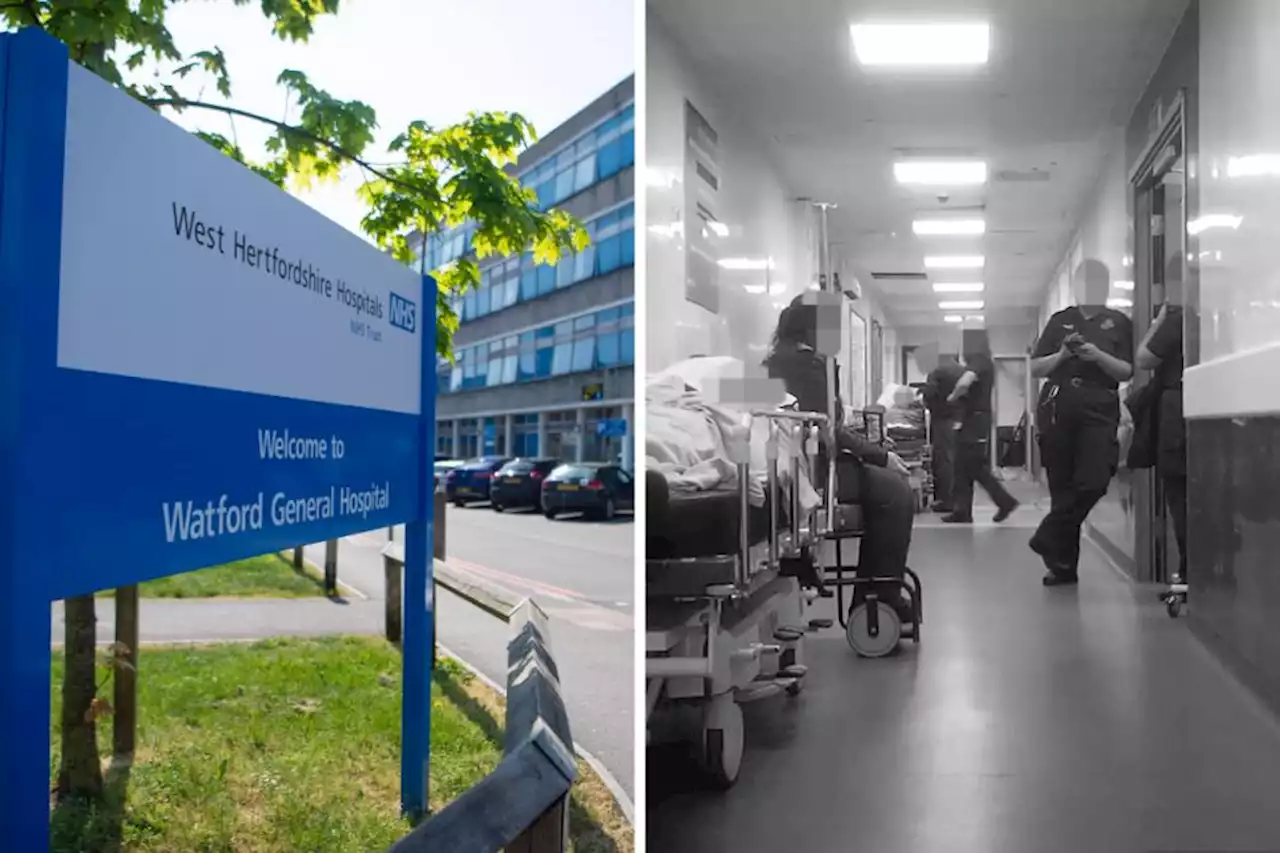 Shock at 'heartbreaking' documentary secretly filmed at Watford General