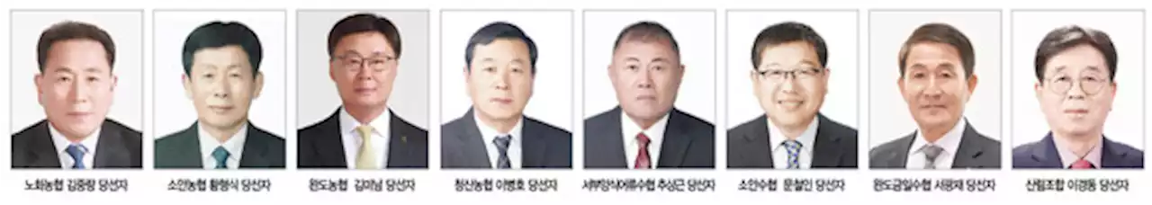 완도 조합장 당선자 확정, 초선 5명 재선 2명 3선 1명