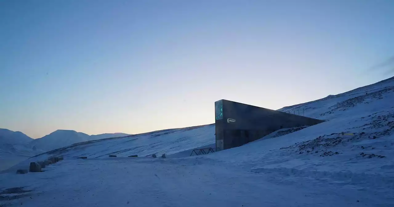 Virtual Photo Tour Takes You Inside Apocalyptic Seed Vault