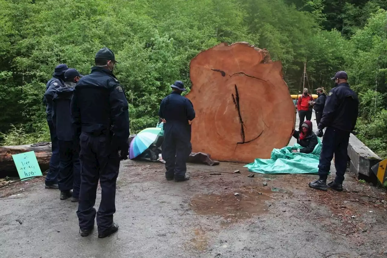 RCMP watchdog investigates how B.C. police unit handles resource project protests