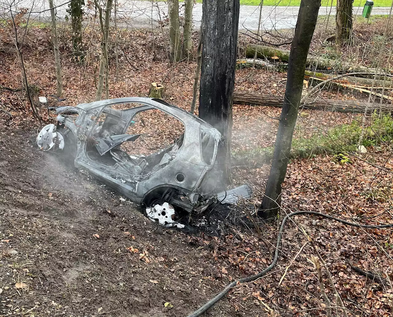 Diessenhofen TG: Autobrand nach Selbstunfall