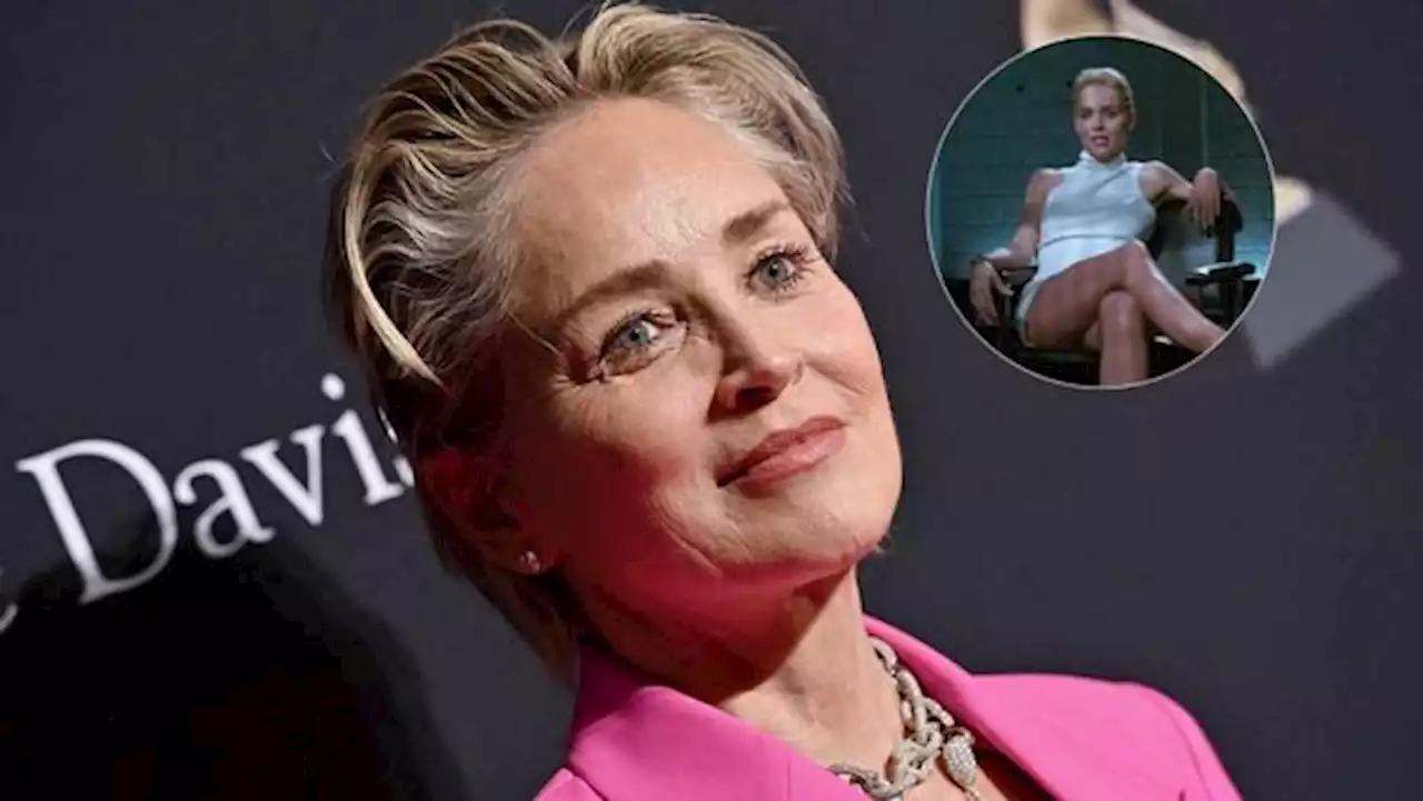 Sharon Stone dice que perdió custodia de su hijo por picante escena en 'Bajos instintos' - Pulzo