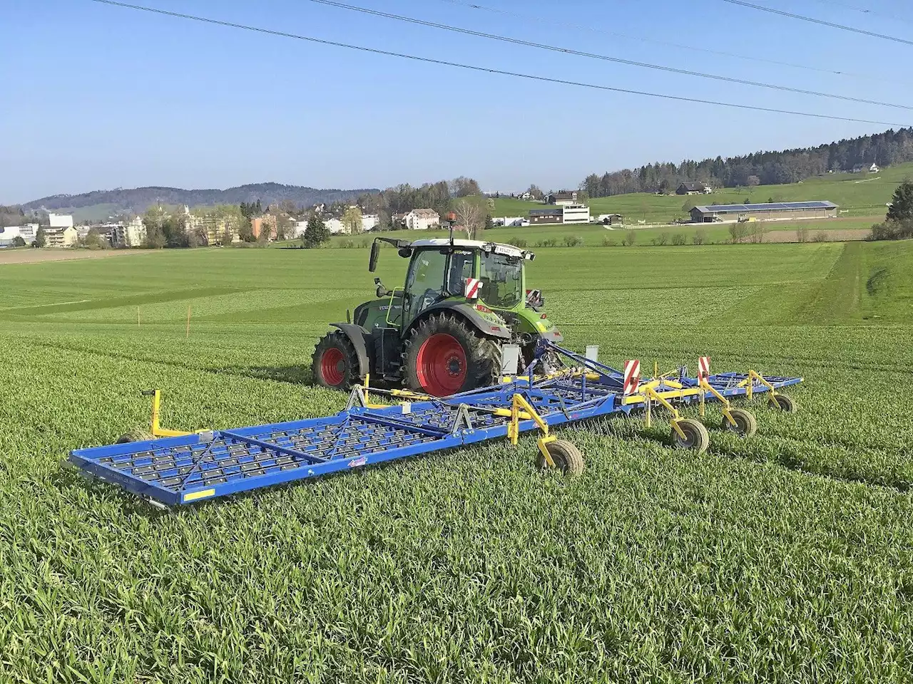 Getreide striegeln oder walzen - Schweizer Bauer