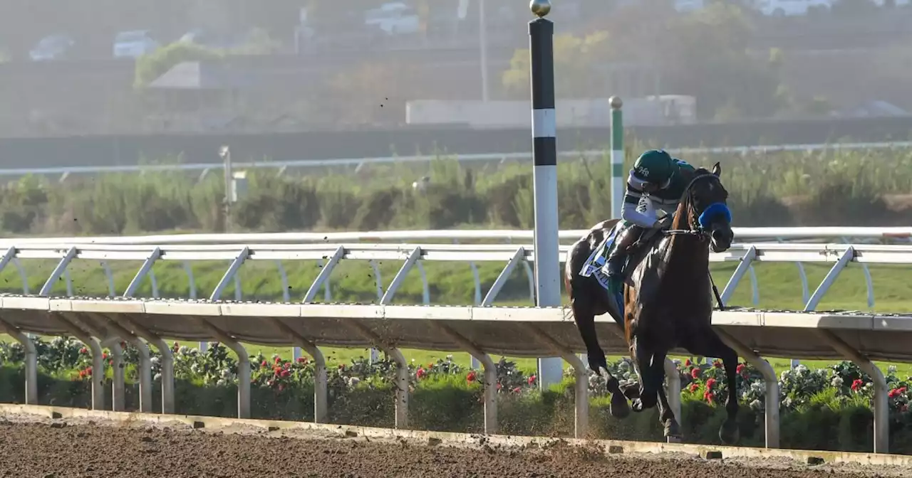 Pacific Classic highlights Del Mar's 2023 horse racing schedule